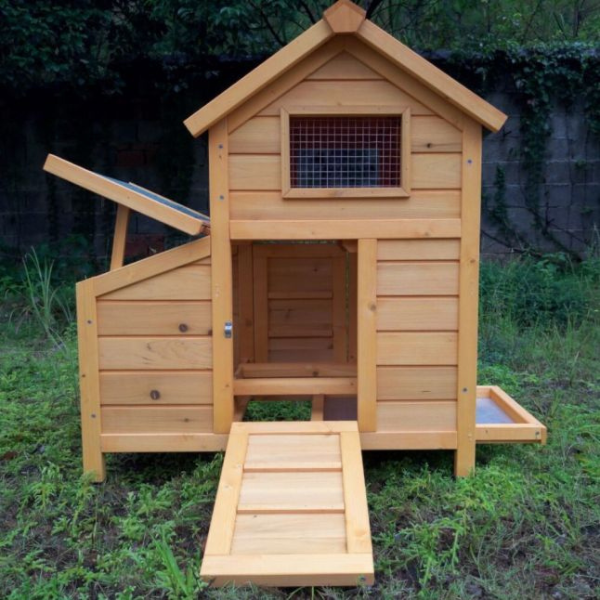 Chicken Coop Large for 1 to 2 Chickens with Shingle Roof