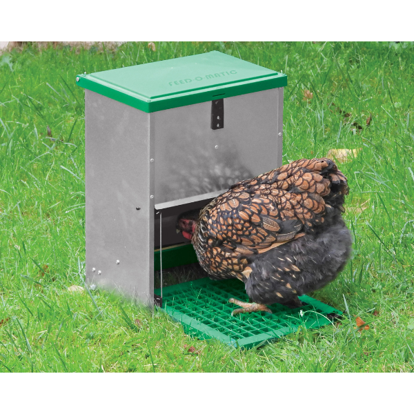 Automatic Adjustable Chicken Feeder 5kg with Pest Proof Design for Backyard Poultry
