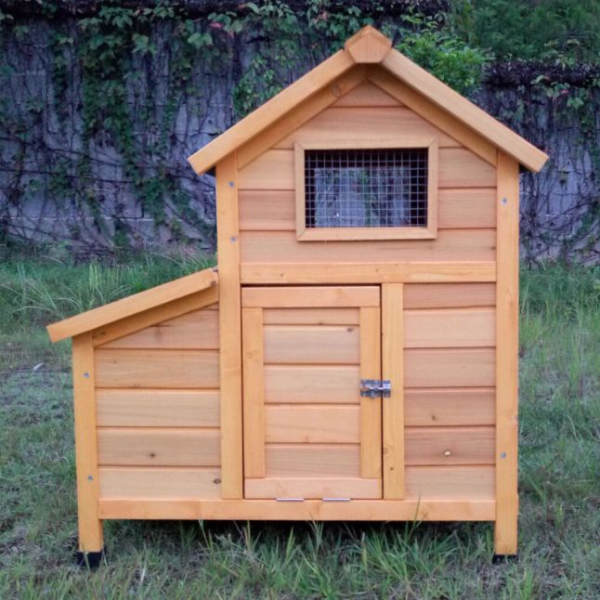 Chicken Coop Large for 1 to 2 Chickens with Shingle Roof