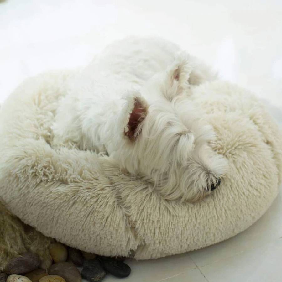 Ultra Soft Fleece Pet Bed Cozy Plush Basket