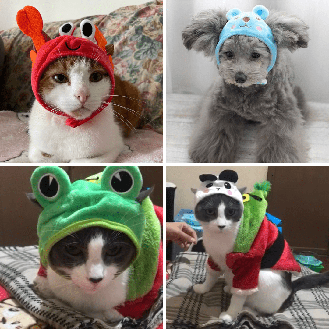 Adorable Animal Face Cat Hat Pet Costume Accessory for Cats and Kittens