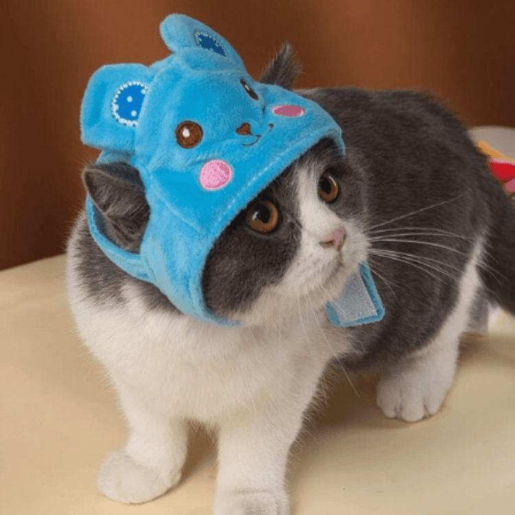 Adorable Animal Face Cat Hat Pet Costume Accessory for Cats and Kittens