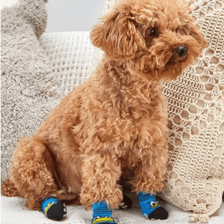 Dog Socks with Duck Pattern Non-Slip Pet Paw Protectors for Dogs