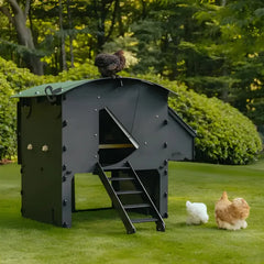 Large Penthouse Chicken Coop for 8 Hens