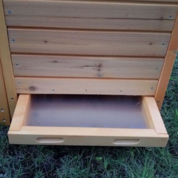 Chicken Coop Large for 1 to 2 Chickens with Shingle Roof