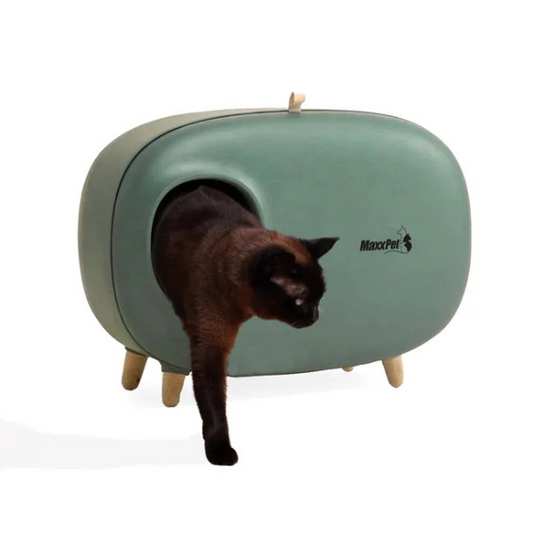 Covered Cat Litter Box Enclosed Cat Toilet with Lid 23.5x15x18 Inches Cat Loo House