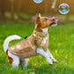 Waterproof Insulated Dog Jacket Warm Winter Coat for Small Medium Large Dogs