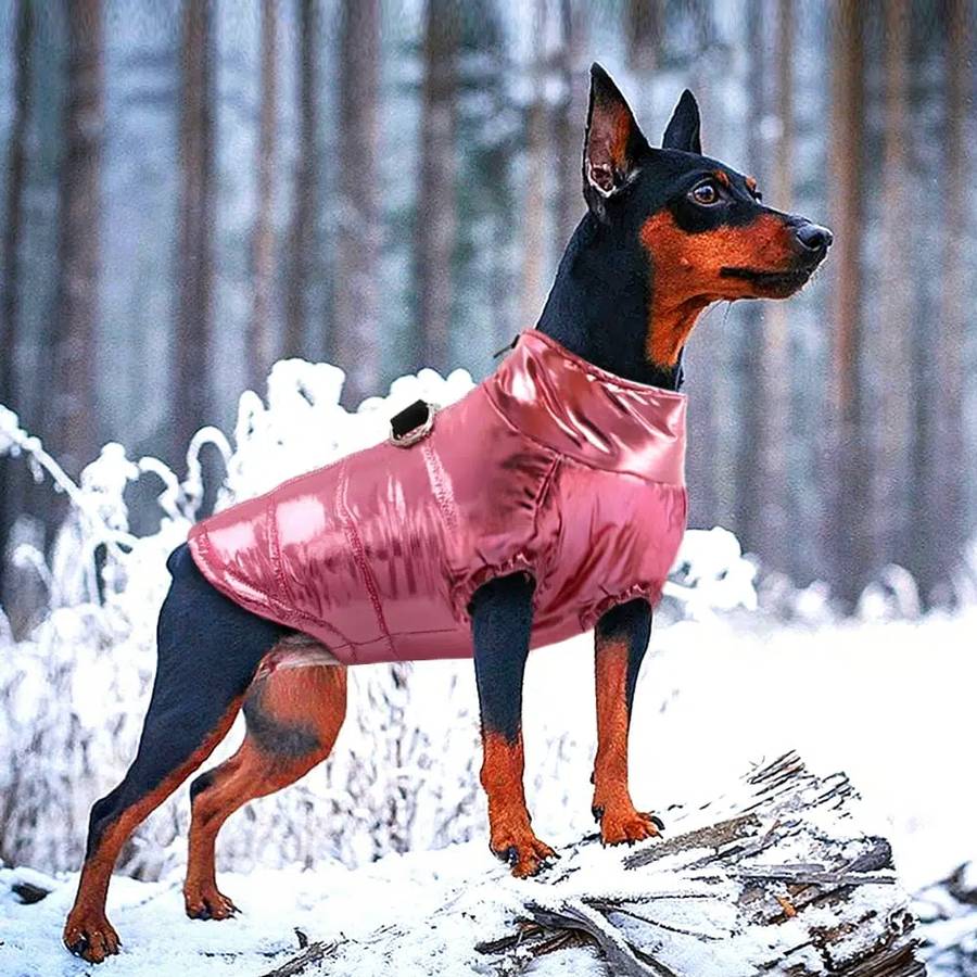 Waterproof Insulated Dog Jacket Warm Winter Coat for Small Medium Large Dogs