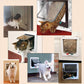 Flap Door for Dog Pet Door Easy Installation Weatherproof Doggie Door