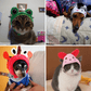 Adorable Animal Face Cat Hat Pet Costume Accessory for Cats and Kittens