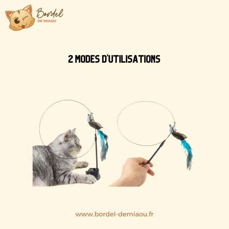 Feather Cat Toy Interactive Cat Teaser Wand for Cats Fun Play