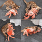 Interactive Pet Toy Crayfish Plush Chew Toy for Dogs and Cats
