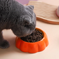 Small Ceramic Dog and Cat Bowl Fruit Design Pet Dish